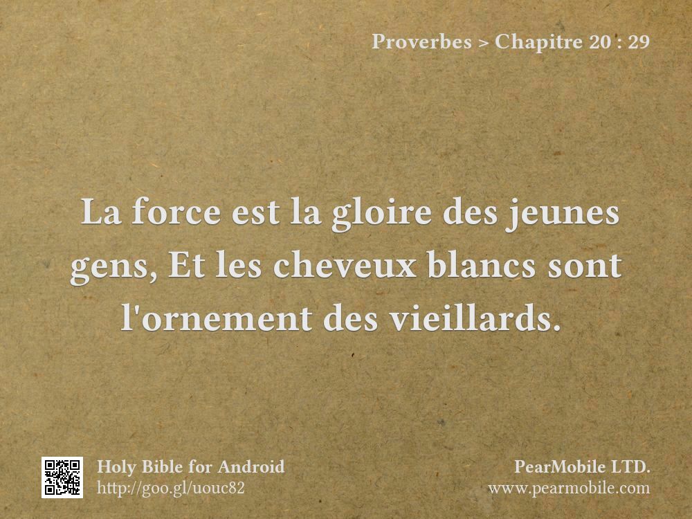 Proverbes, Chapitre 20:29
